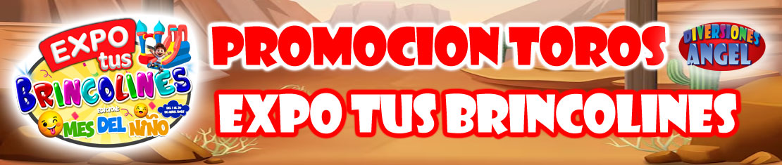 Toro Mecanico Chico