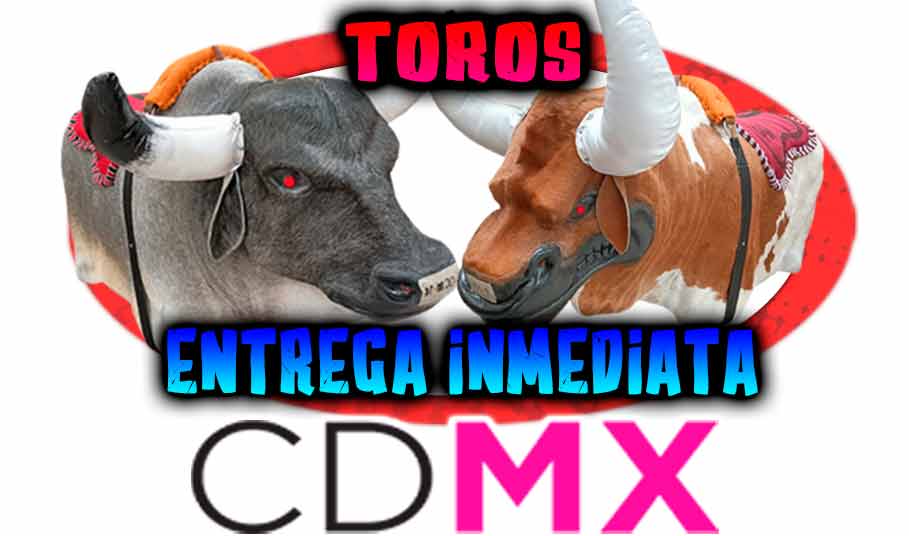 Toro Mecanico Chico