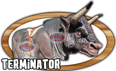 Toro Mecanico Grande