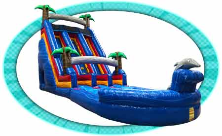 Brincolines Basicos para Rentar